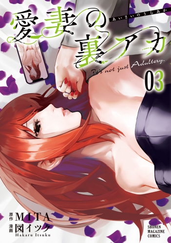 愛妻の裏アカ（３）