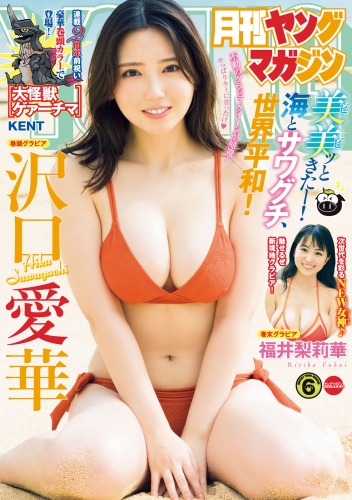 月刊ヤングマガジン　2025年No.6 [2025年5月20日発売]