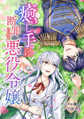 癒し手は断罪された悪役令嬢（合本版）　3巻