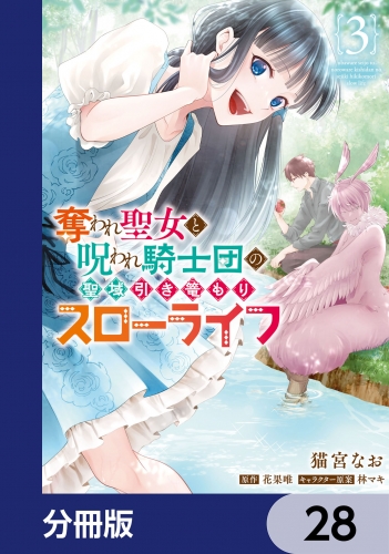 奪われ聖女と呪われ騎士団の聖域引き篭もりスローライフ【分冊版】　28