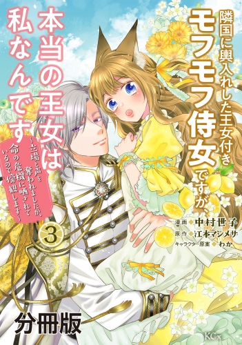【期間限定　無料お試し版　閲覧期限2025年7月31日】隣国に輿入れした王女付きモフモフ侍女ですが、本当の王女は私なんです　分冊版　～立場と声を奪われましたが、命の危機に晒されているので傍観します～（３）