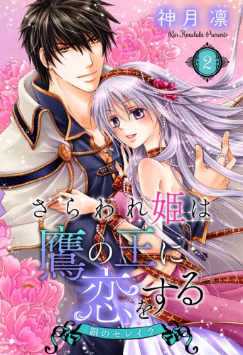 さらわれ姫は鷹の王に恋をする 銀のセレイラ 2