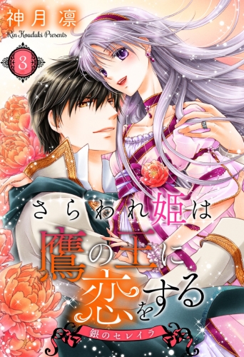さらわれ姫は鷹の王に恋をする 銀のセレイラ 3