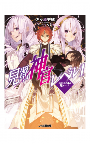 見習い神官レベル1(4)　～だけど、この手を離さずに～
