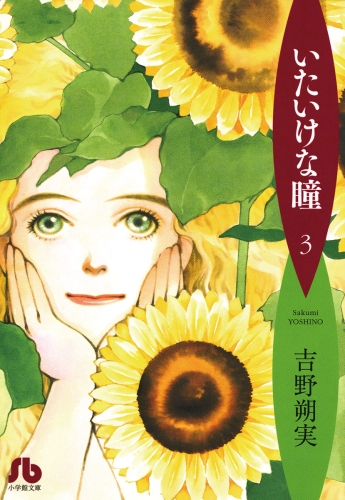 いたいけな瞳〔文庫〕 3巻