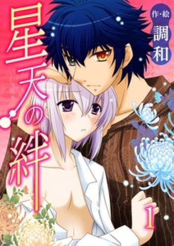 星天の絆（きずな） 1