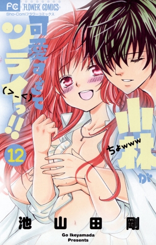 小林が可愛すぎてツライっ！！ 12巻