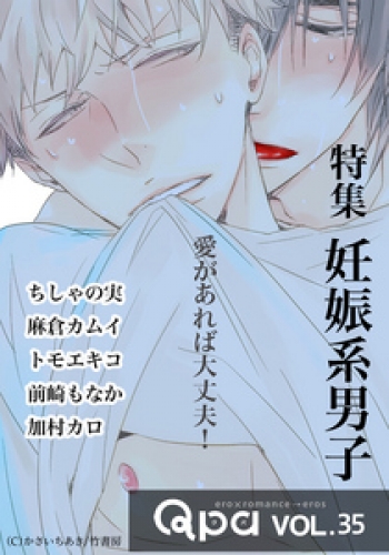Qpa vol.35  妊娠系男子　愛があれば大丈夫！