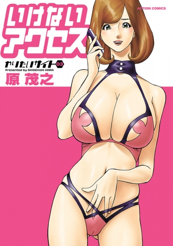 やりたいサイト 3巻