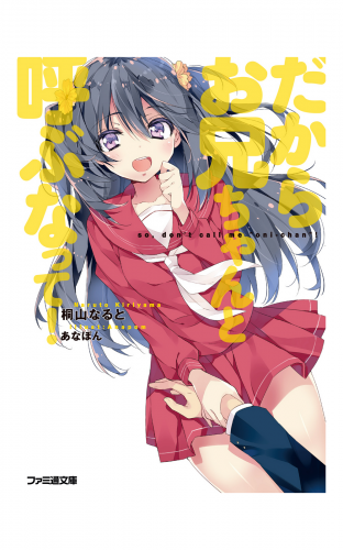 だからお兄ちゃんと呼ぶなって！