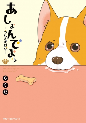 あしょんでよッ ～うちの犬ログ～ 3