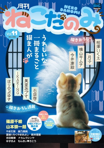 月刊ねこだのみ vol.11（2016年10月28日発売）