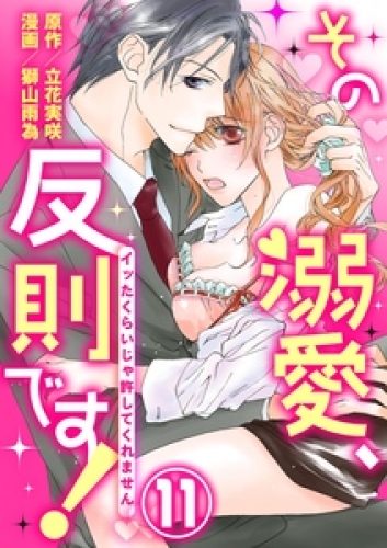 その溺愛、反則です！～イッたくらいじゃ許してくれません～11