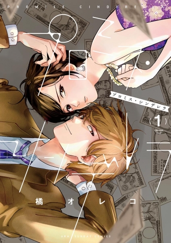 プロミス・シンデレラ 1巻