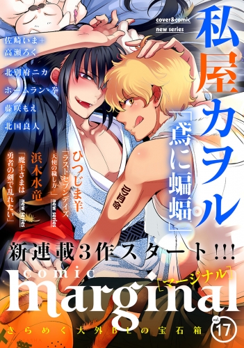 comic marginal 17巻