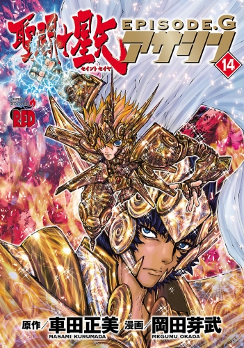聖闘士星矢EPISODE.G　アサシン 14巻