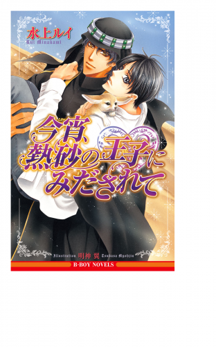 今宵、熱砂の王子にみだされて【イラスト入り】