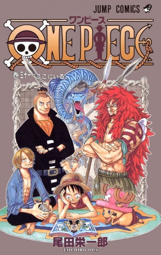 ONE PIECE カラー版 31