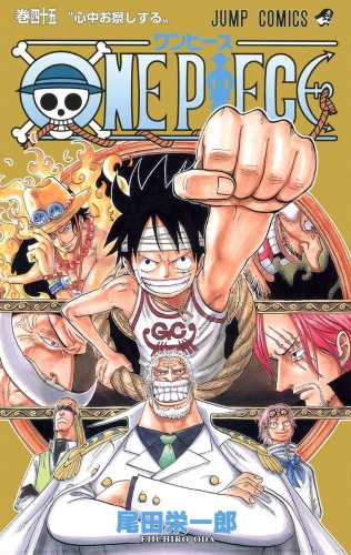 ONE PIECE カラー版 45