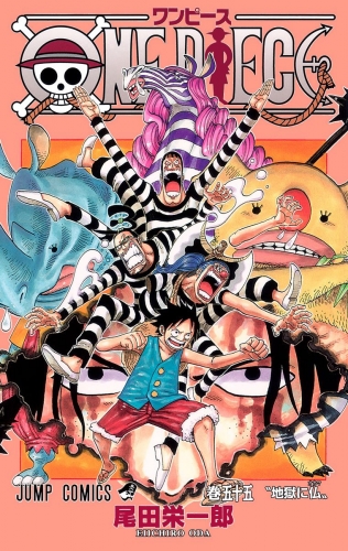 One Piece カラー版 55 アニメイトブックストア 漫画 コミックの電子書籍ストア