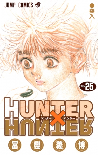 HUNTER×HUNTER モノクロ版 25