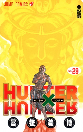 HUNTER×HUNTER モノクロ版 29