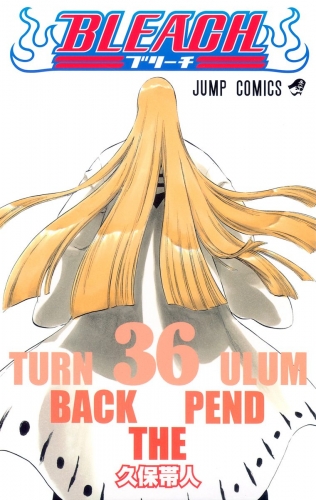 BLEACH モノクロ版 36