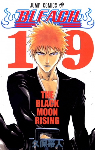 BLEACH カラー版 19