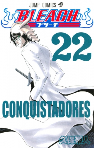 BLEACH カラー版 22