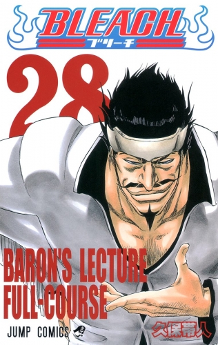 BLEACH カラー版 28