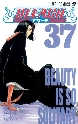 BLEACH カラー版 37