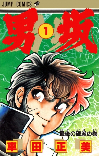 男坂 1