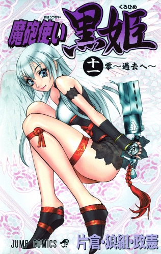 魔砲使い黒姫 11