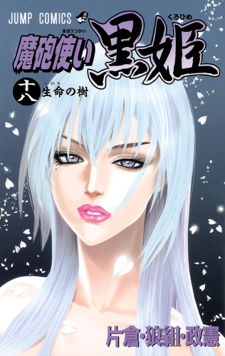 魔砲使い黒姫 18