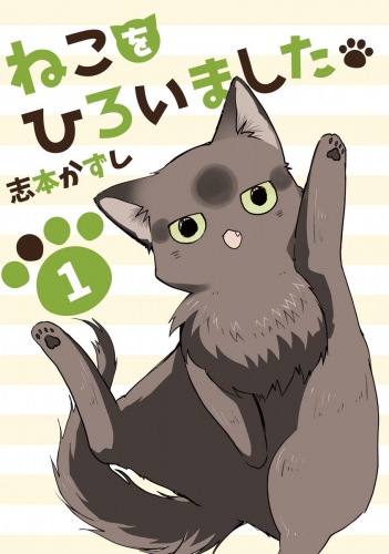 ねこをひろいました。 1