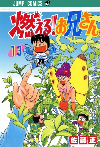 燃える！お兄さん 13