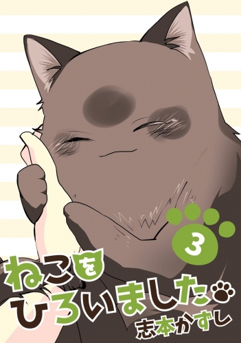ねこをひろいました。 3