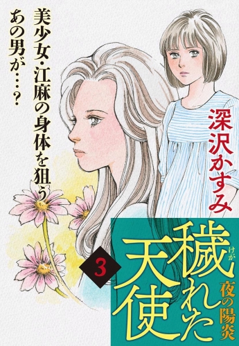 穢（けが）れた天使～夜の陽炎～ 3