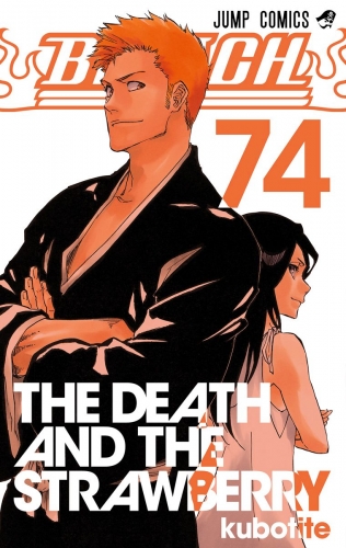 BLEACH カラー版 74