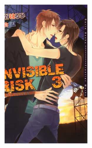 INVISIBLE RISK 3