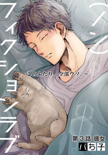 （ノン）フィクションラブ～このふたり、全部ウソ。～ 分冊版 3巻