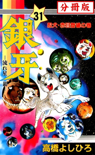 銀牙―流れ星　銀― 【分冊版】 31巻