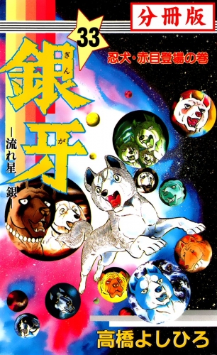 銀牙―流れ星　銀― 【分冊版】 33巻