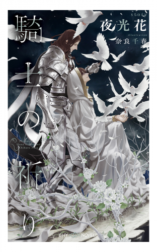 騎士の祈り　【イラスト付】