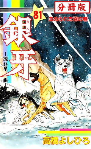 銀牙―流れ星　銀― 【分冊版】 81巻