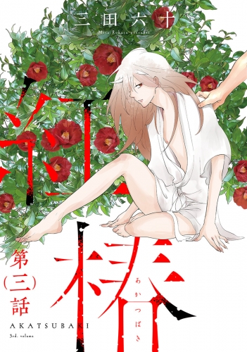 紅椿 分冊版 3巻