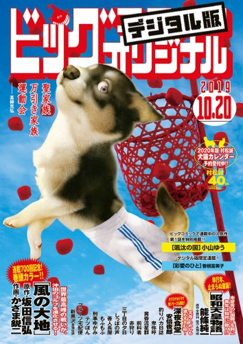 ビッグコミックオリジナル 2019年20号(2019年10月4日発売)