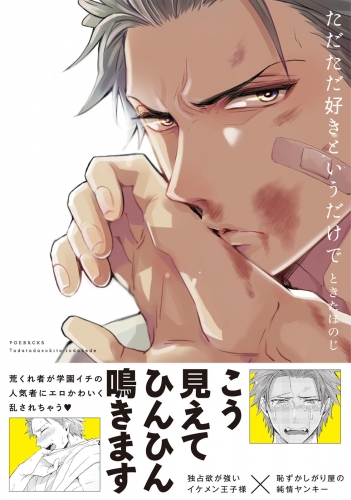 ただただ好きというだけで【分冊版】(2)