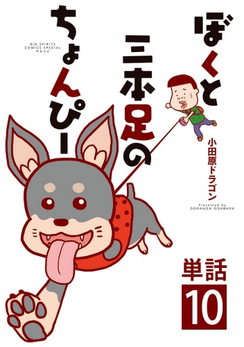 ぼくと三本足のちょんぴー【単話】 10巻