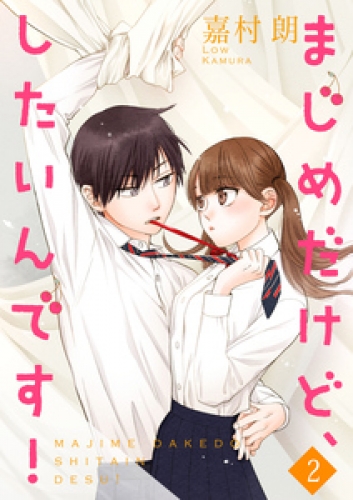 まじめだけど、したいんです！【合冊版】 2巻